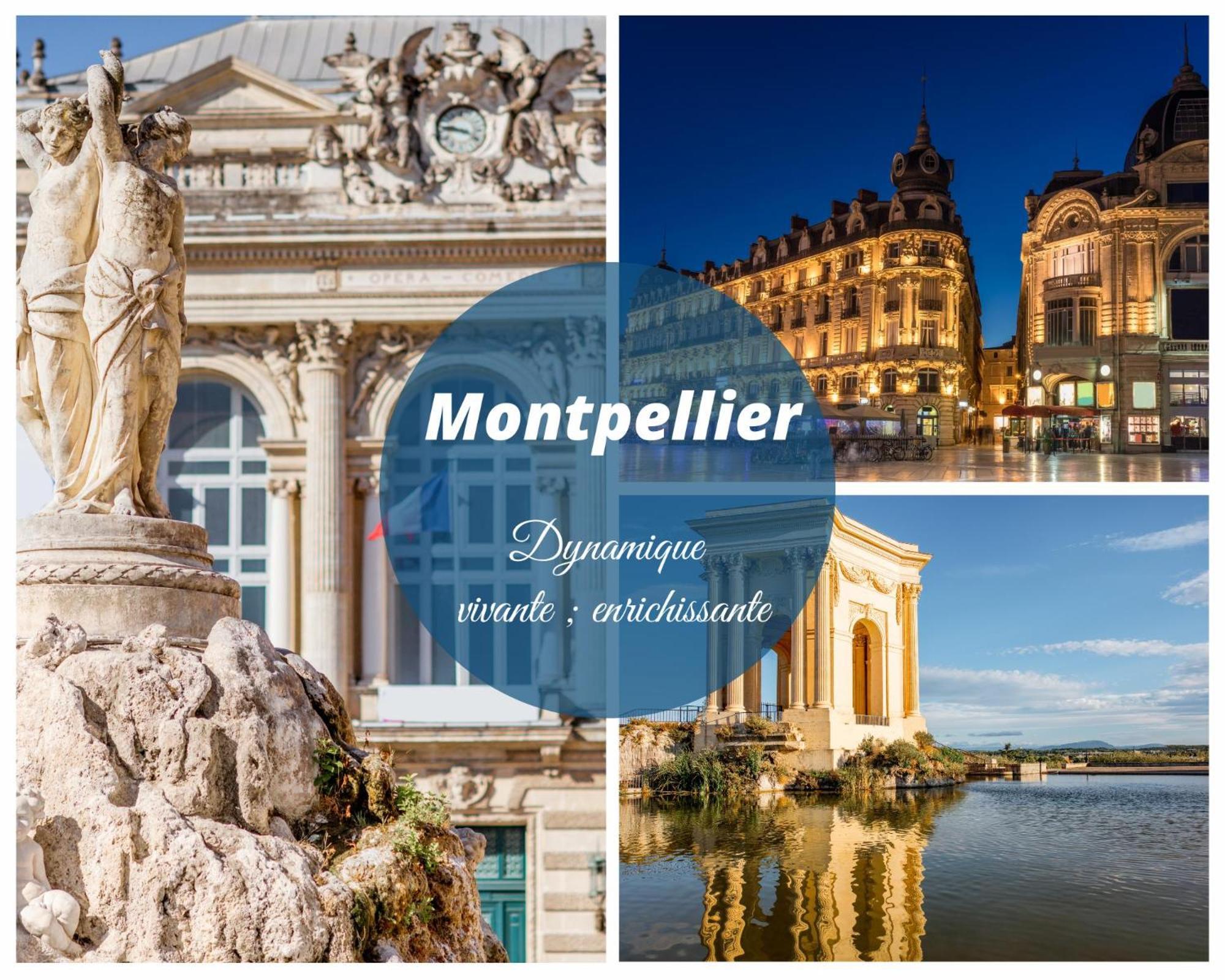 Luxury Mind Vue Exceptionnelle Pied Dans L'Eau Parkings Prives 2 Places Climatisation Hyper Centre Logement D'Exception La Grande Motte Exteriér fotografie